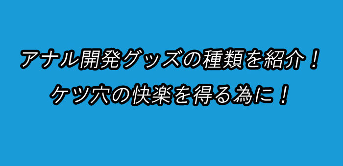 男のアナル　開発グッズ